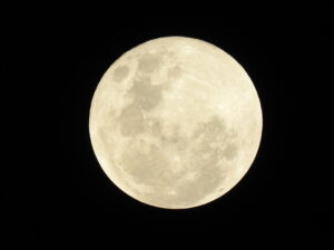 DSCN3390